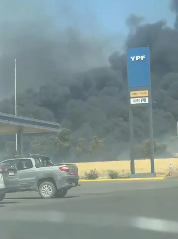 WhatsApp Image 2026-01-21 at 21.52.39