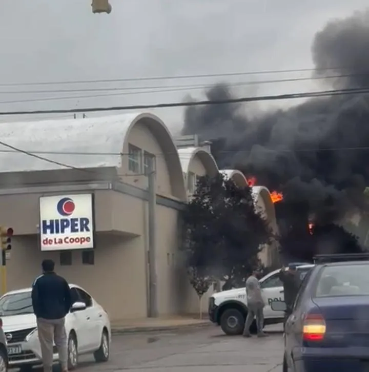 WhatsApp Image 2025-11-11 at 09.00.51